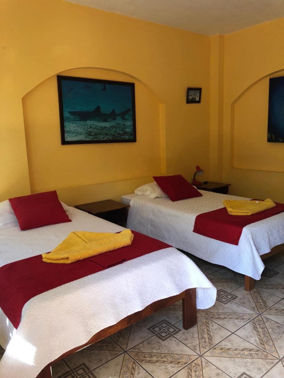 Hostal Sandrita ปวยร์โต วิลยามิล ภายนอก รูปภาพ